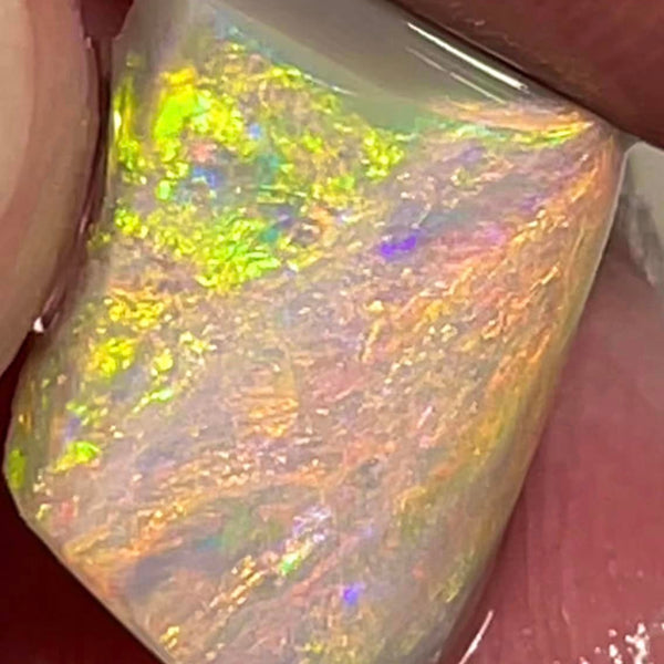 Lightning Ridge Rough / Rub Dark base opal Miners Bench® 7.5cts Red/Orange Dominant Vibrant Bright Multifires 14x11x8mm MFB44