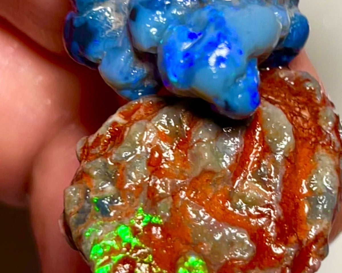 Pair of nice sized Opal formations from Lightning Ridge 42.00cts Bright Blue & Green fires  23x22x14 & 29x19x7 mm NSW047