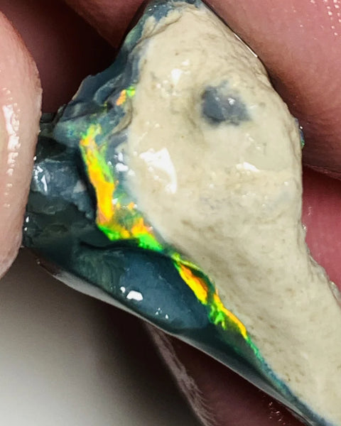 Lightning Ridge Rough Mulga® Blacks GEM Opal  Untouched Select seam 18.4cts Amazing Vivid bright Golds/Greens 26x15x11mm WSZ01