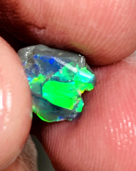 Lightning Ridge Miners Bench® Little Knobby Opal Rub Gorgeous Dark Base Rough / Rub 1.45cts Vibrant & Bright Multifires broad pattern 10x10x2.5mm WAA49