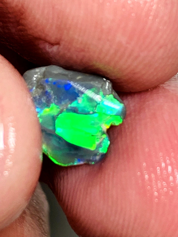 Lightning Ridge Miners Bench® Little Knobby Opal Rub Gorgeous Dark Base Rough / Rub 1.45cts Vibrant & Bright Multifires broad pattern 10x10x2.5mm WAA49