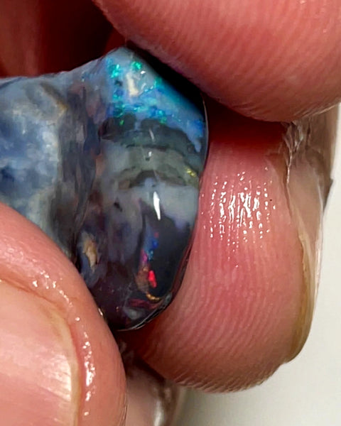 Lightning Ridge Rough Opal 11.5cts Stunning Black base Seam Gorgeous Reds Greens & Multifires in bars 20x14x5mm WAD44