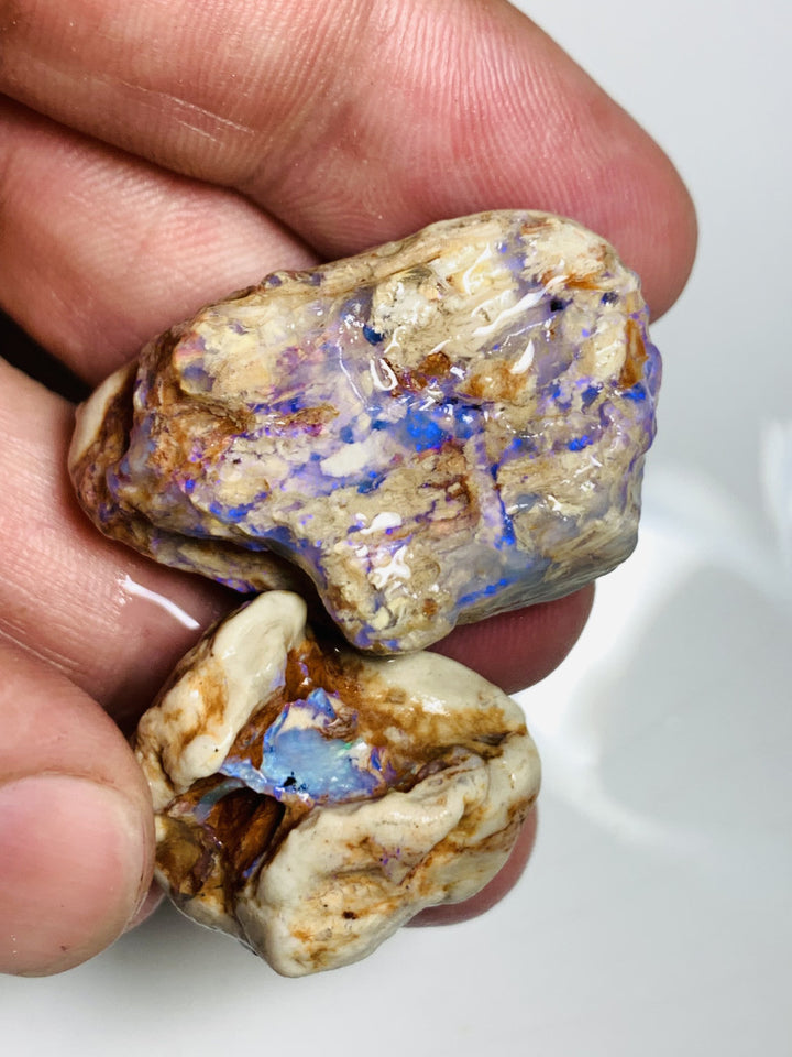 NO RESERVE Lightning Ridge Rough Opal 110cts Opalised wood fossil formations with host rock colourful rough suit being carved Potential 37x25x11mm & 25x22x10mm WSS12