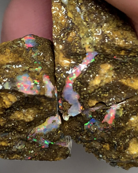 Australian Rough Boulder Matrix Opal 57cts TOP END Winton Fields Lots Gorgeous Bright Reds & Multi Fires to face/veins 22x16x14mm to 18x10x10mm WST38