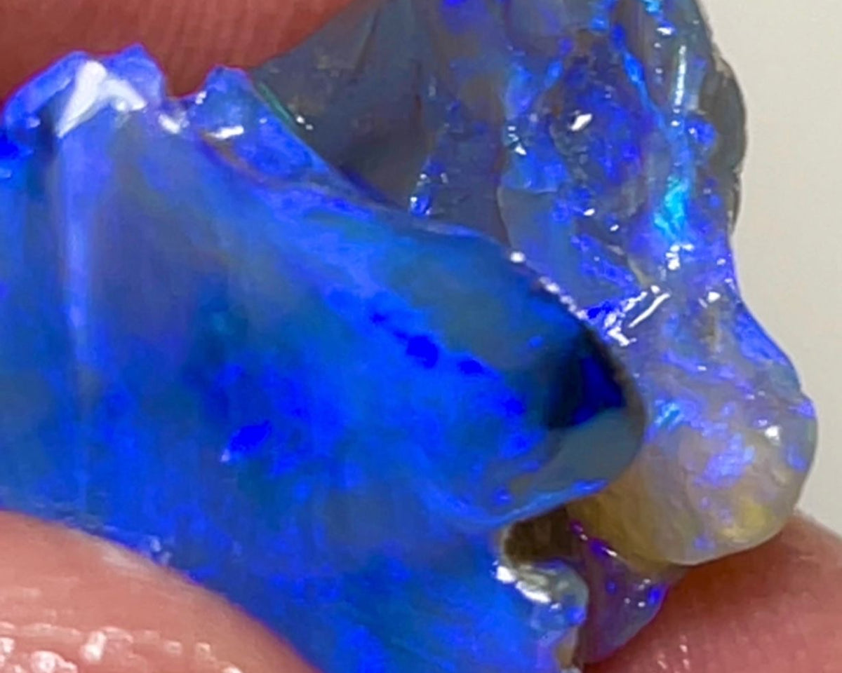 Dark Base Crystal Stunners Lightning Ridge Rough Opal 23.00cts Cutters Pair with Stunning Gorgeous Bright Blue dominant fires through out 18x15x12mm & 17x14x4mm NSW039