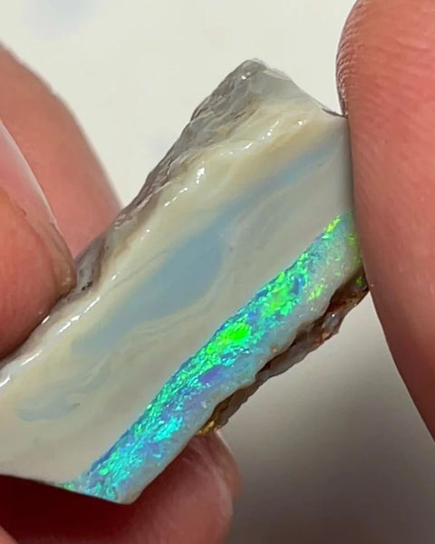 Lightning Ridge 16.75cts Rough Opal Dark Seam to cut gorgeous Multifires 27x10x9 mm NSW143