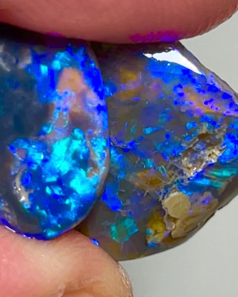 Lightning Ridge Rough / Rubs pair Blue on Black opal Miners Bench® 18cts Gorgeous Blue dominant Fires 17x16x5mm & 15x13x4mm NSA010