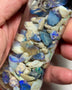 Lightning Ridge Gamble material with colours to explore 245cts  18x16x3mm to 9x7x4mm NSA021