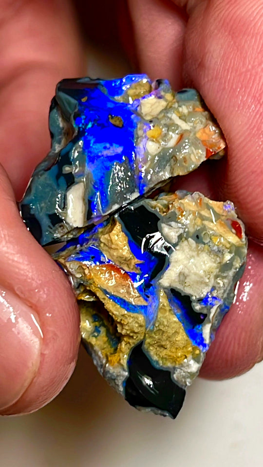 Lightning Ridge Rough Opal 43cts Big size Black Knobby Split showing bars with lots of blues 21x20x15 & 21x19x13 mm WAE41