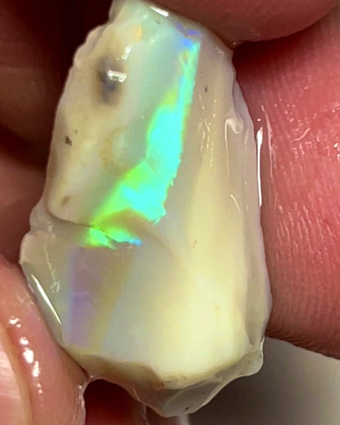 Lightning Ridge Rough Opal 9.5cts Cutters Stunning Light Base High Grade Vivid Bright Multifires  20.000 x 14.000 x 5.000 mm WAE48