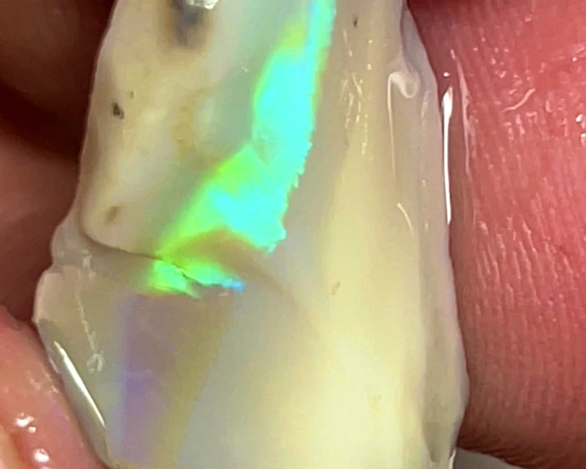 Lightning Ridge Rough Opal 9.5cts Cutters Stunning Light Base High Grade Vivid Bright Multifires  20.000 x 14.000 x 5.000 mm WAE48