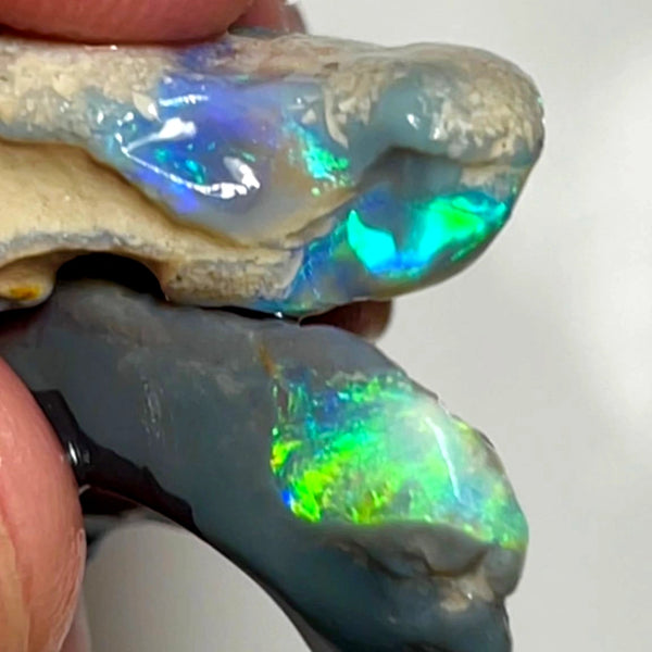 Lightning Ridge 33cts Nice pair of Dark base Crystal Opal formations rough to cut/carve Gorgeous Bright Multicolours 30x14x5 & 27x12x8 mm WAE65