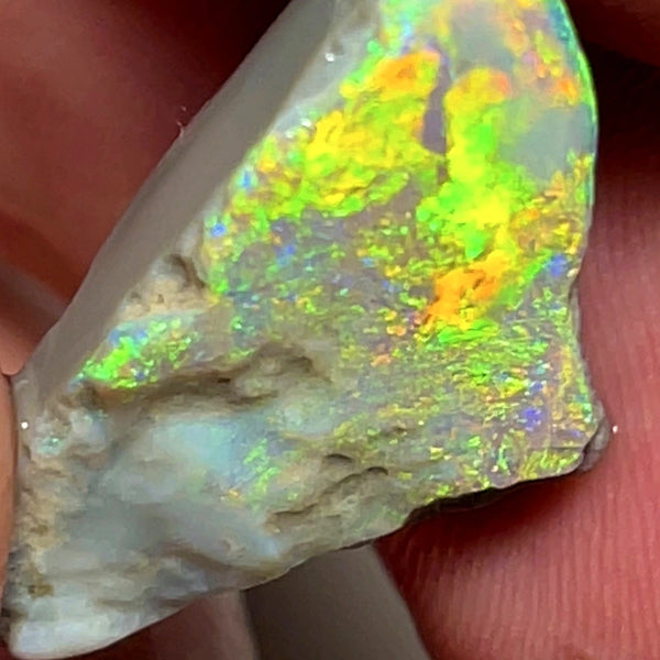 Lightning Ridge Rough / Rub Dark base Seam opal 11cts  Vibrant Bright Gorgeous Array of Multifires 25x14x6mm WAE5