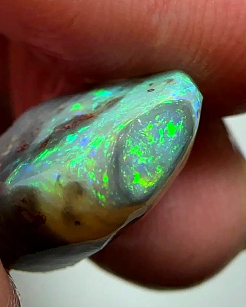 Lightning Ridge Rough / Rub Dark base Crystal opal Miners Bench® 8.75cts Gorgeous Bright Multifires 13x12x8mm WAC54