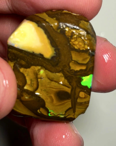 Queensland Boulder Matrix opal 95cts rough/rub Winton Amazing very very Bright colour exposed  32x25x8mm WAE10
