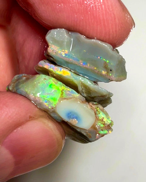 Lightning Ridge 24cts Nice Stack of Dark base Opal rough to cut/carve Gorgeous Bright Multicolours 20x12x7mm to 16x11x3mm 1025