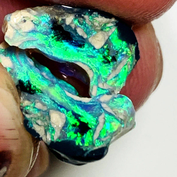 OPAL MONTH SPECIAL Lightning Ridge Rough Opal Black N1 Base Knobby Split 11cts Cutters Candy Exotic High Grade Super Bright Neon Green dominant fires 17x12x7mm & 15x7x7mm WSZ78