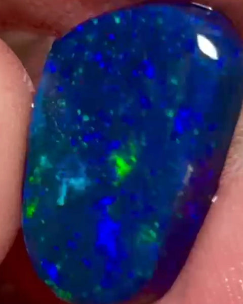 Gorgeous Black opal rub Lightning Ridge 12.00cts Stunning Face loaded with Blue dominant Multifires  20.00x 10.00x 5.00mm  NEW964