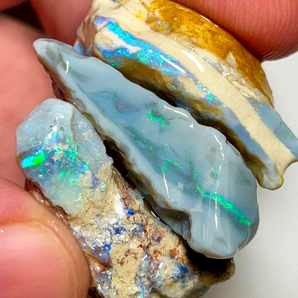 Lightning Ridge Rough Opal 79cts Big sized Dark Base Seam Blue & green showing in bars 32x19x11mm to 30x15x9mm WAD41