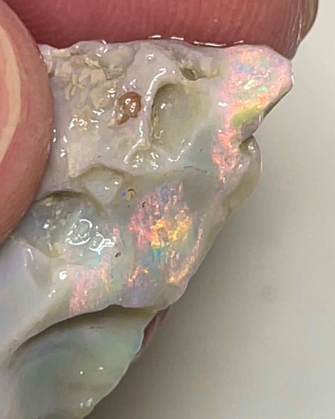 Lightning Ridge Rough Opal 16.75cts Untouched  Dark Seam Pink / orange dominant Multicolours to cut 26x15x9mm NSA004