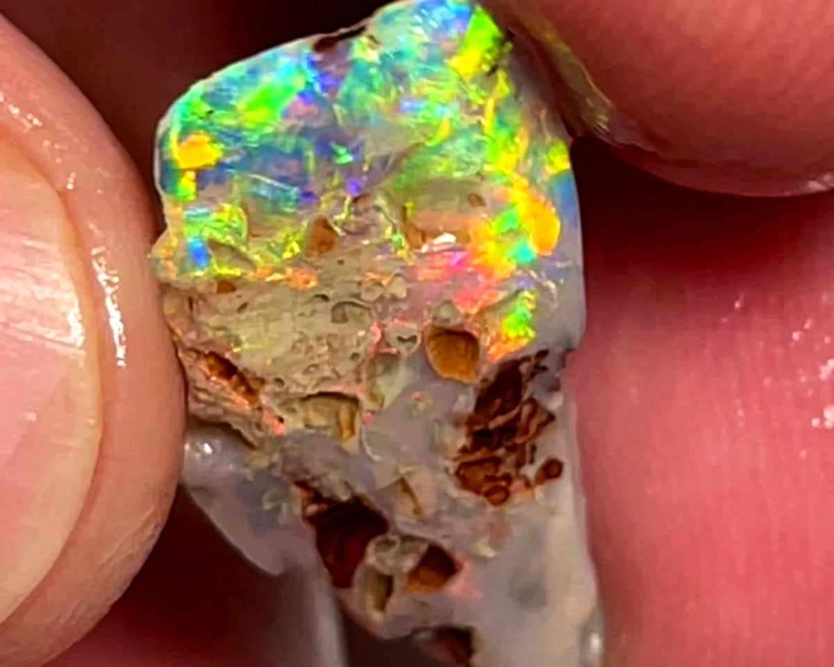 Lightning Ridge Opal Dark Base Seam Rough Rub 4.95cts Super Vibrant & Bright Multifires 24x12x3mm WAE51