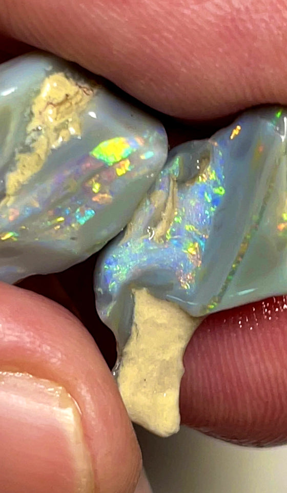 Lightning Ridge Opal Rough Dark Base knobby Pair 13.25cts Gorgeous Very Bright Multifires 18x12x5mm & 18x12x5mm WAD36