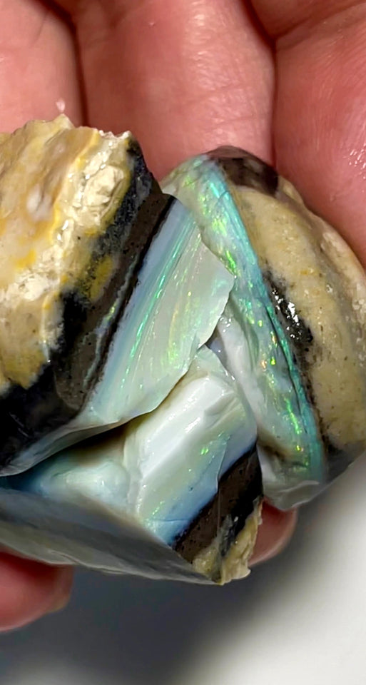 Lightning Ridge Rough  Big Thick Dark Seam Opal Split 140cts Potential  Multicolours in bars 30x24x15mm to 30x17x15mm WAB81