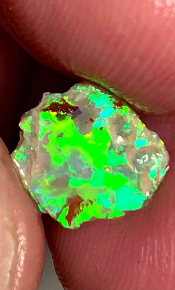 Lightning Ridge Opal Miners Bench® Small Crystal base Rough / Rub 1.55cts Gorgeous Broad pattern with Bright Neon Electric Greens 11x10x2mm XMASB05