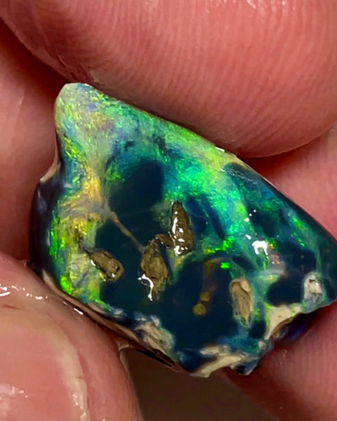 Lightning Ridge Opal Rough/Rub Black Specimen From the Miners Bench® 9.5cts Gorgeous Bright Multi fires 20x12x7mm WAC51