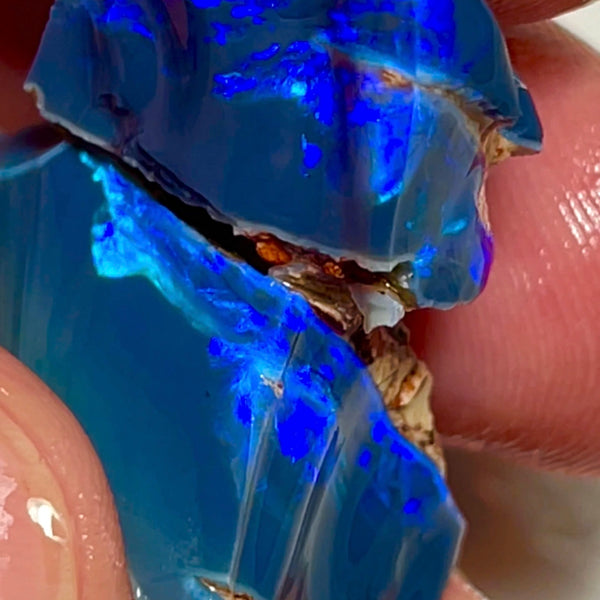 Gem Thick Black Seam opal rough split 55.00cts Lightning Ridge Bright Vibrant Blue dominant fires to cut 30x15x12 & 20x18x11mm NEW924