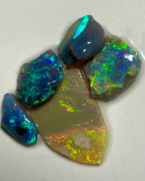 Gorgeous Bright & Stunning Black & Dark opal rub  17.25cts Bright Multicolours to finish & Polish Gems16x14x3 to 14x6x3mm NEW904