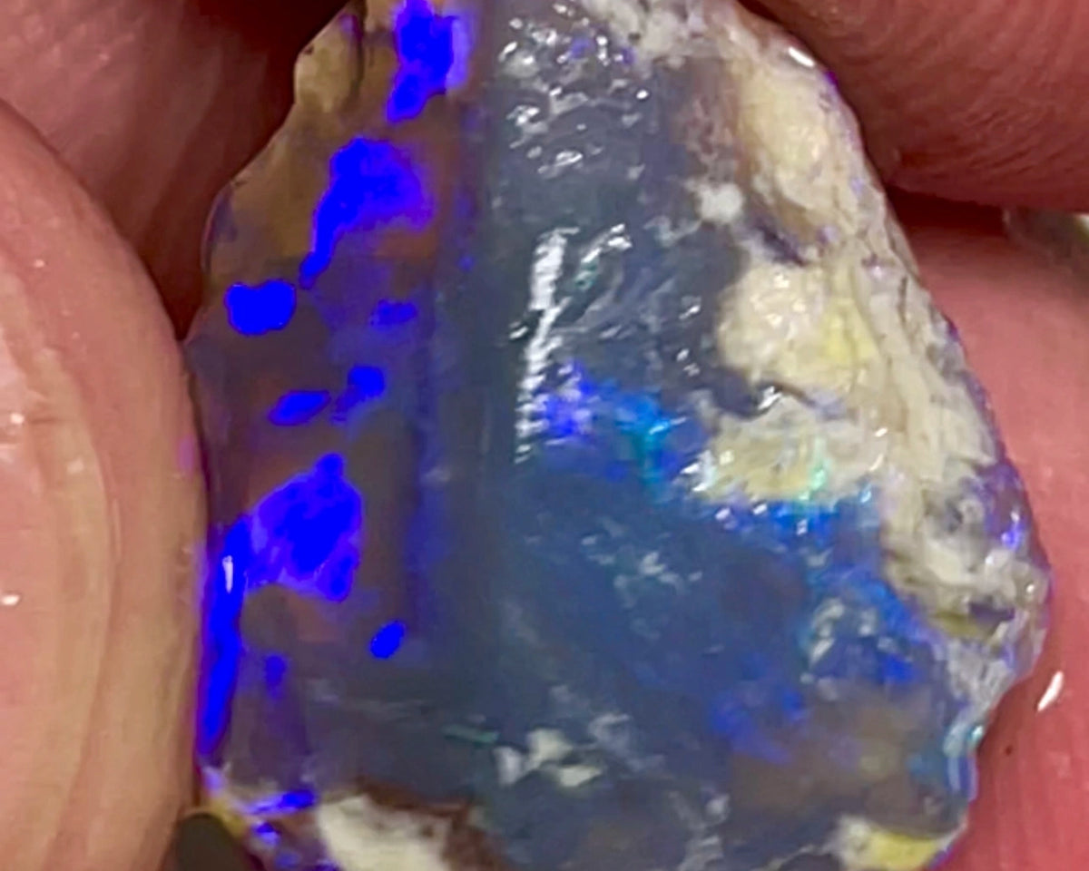 Lightning Ridge Rough Dark Crystal Opal  7.00cts Gorgeous Knobby with Bright Royal blue colours 17x12x6mm NSW013