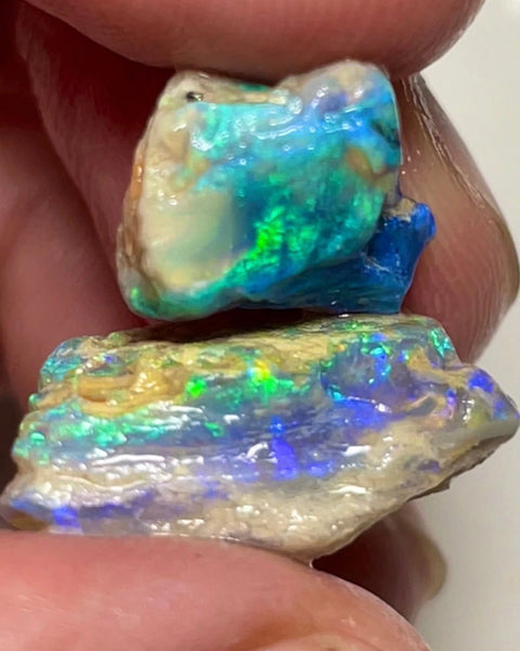 Lightning Ridge Gorgeous knobby opal rough Pair 22.50cts Gorgeous Bright Greens & Blues dominant  to cut 20x15x10mm & 12x10x8mm NSW096