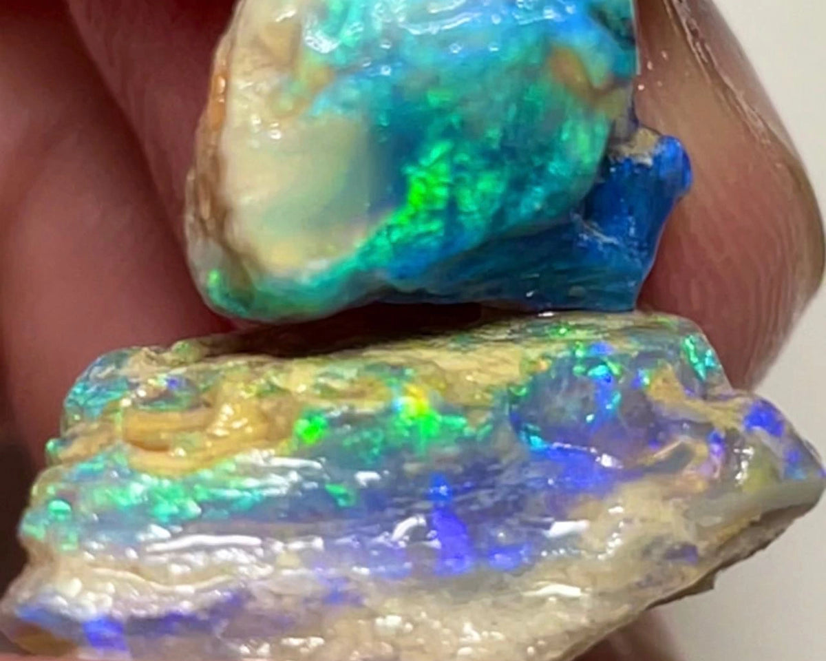 Lightning Ridge Gorgeous knobby opal rough Pair 22.50cts Gorgeous Bright Greens & Blues dominant  to cut 20x15x10mm & 12x10x8mm NSW096