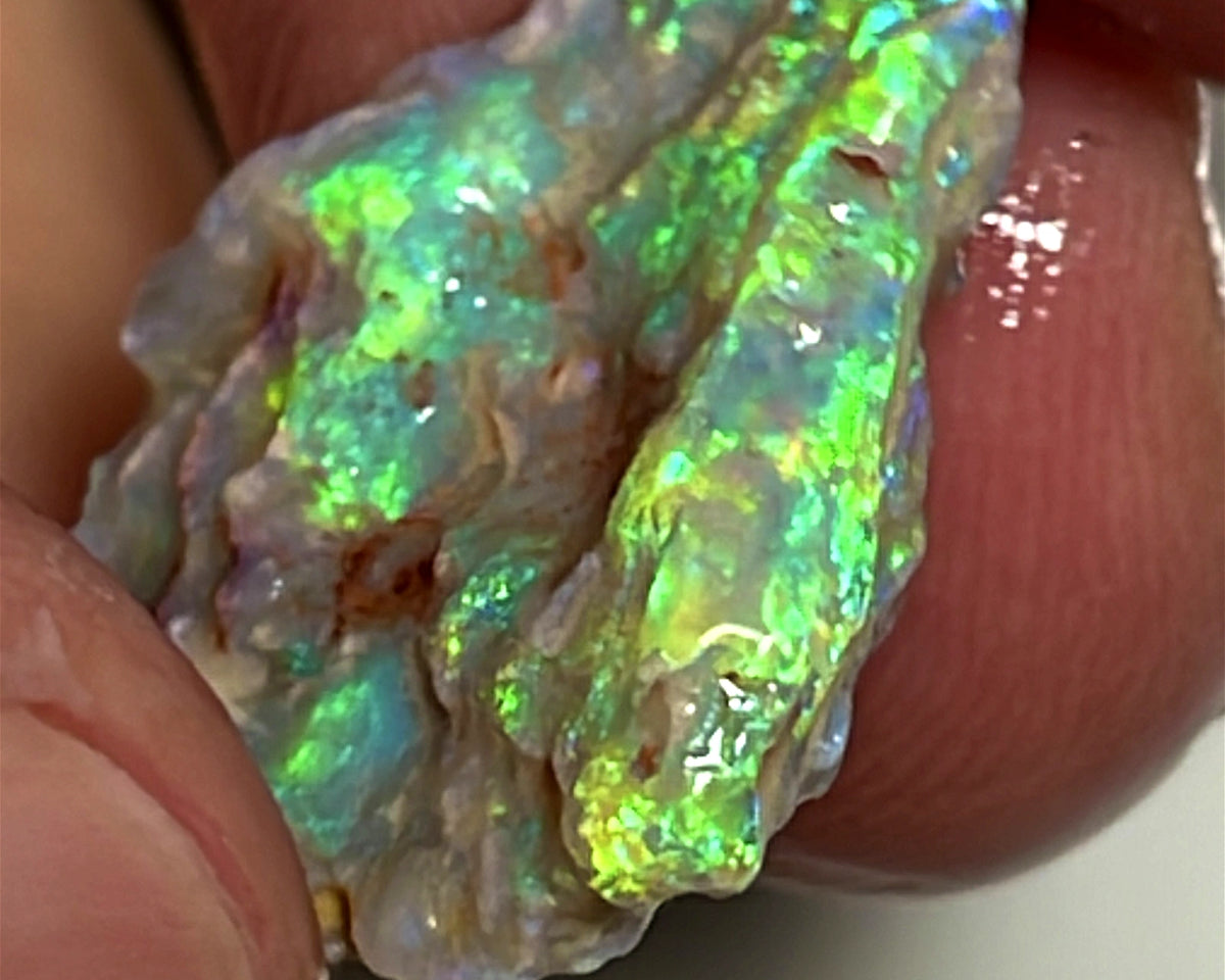 Lightning Ridge Rough Opal 7.25cts Crystal Witches hat Knobby Amazing Vibrant Very Bright Multicolours 18.000 x 17.000 x 3.000 mm WAE47