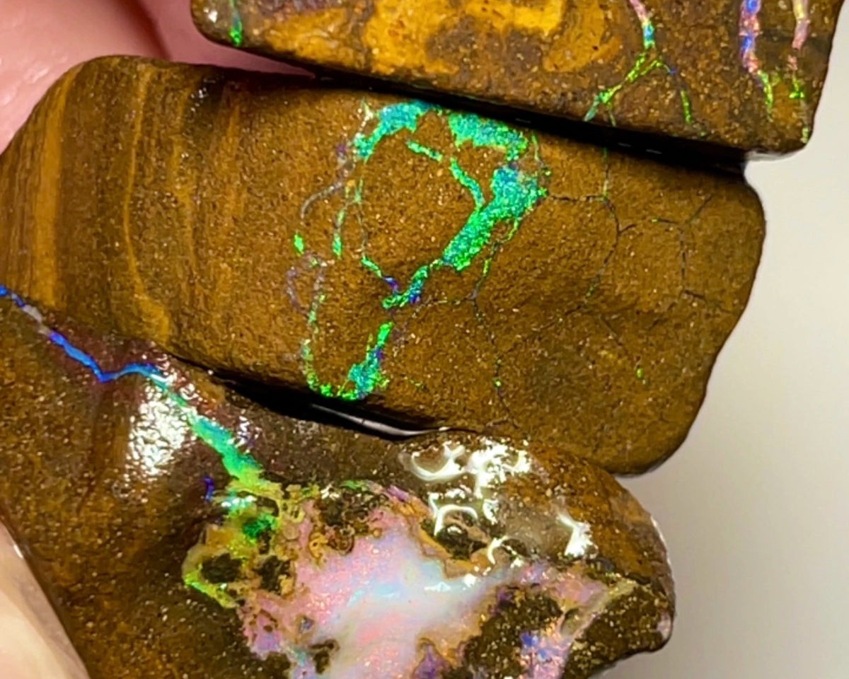 Bling Bling Boulder opal 126cts rough Nice Sized Exotic Gem Winton Bright & Gorgeous Reds &  Multifires 25x17x11mm 22x11x9mm AUCTION NSA011