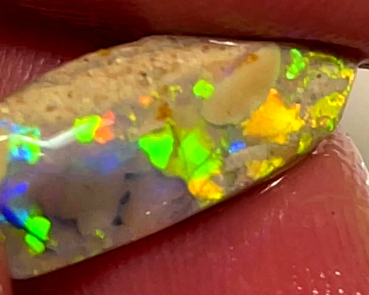 Lightning Ridge Opal Dark Base Crystal Knobby Rough Rub 3.00cts Super Vibrant & Bright Multifires  17x6x3 mm WAE53