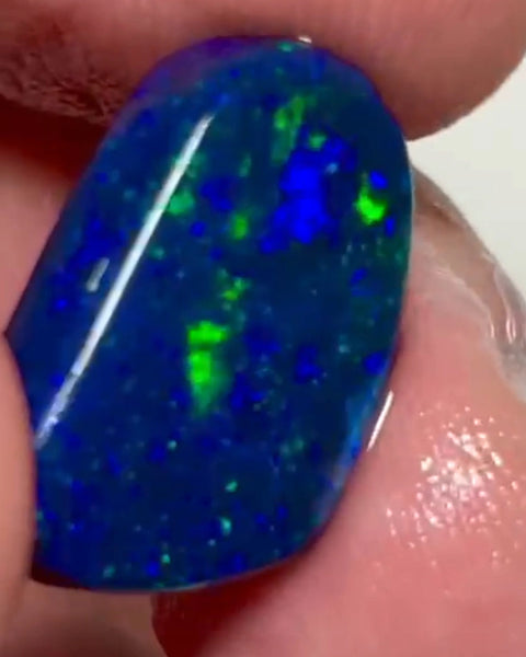 Gorgeous Black opal rub Lightning Ridge 12.00cts Stunning Face loaded with Blue dominant Multifires  20.00x 10.00x 5.00mm  NEW964