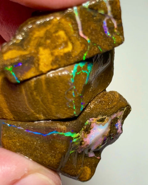 Bling Bling Boulder opal 126cts rough Nice Sized Exotic Gem Winton Bright & Gorgeous Reds &  Multifires 25x17x11mm 22x11x9mm AUCTION NSA011