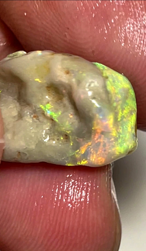 Lightning Ridge Rough Untouched Knobby opal 12.5cts Stunning Cutters Candy® Very Bright & Gorgeous Multifires 20x11x11mm WAB61