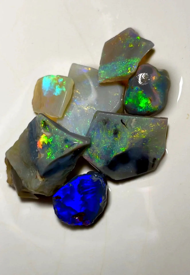 Opal Fever Mate Auction