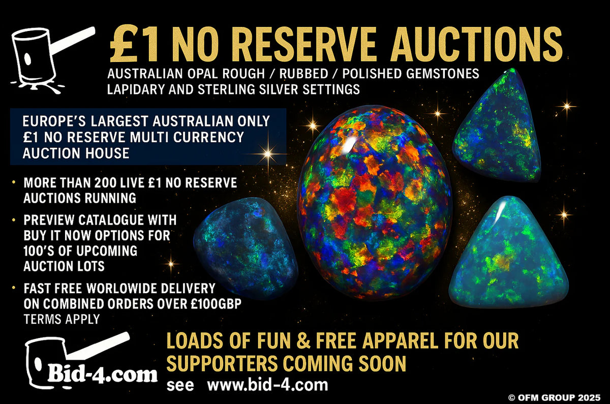 Want to Bid for Opal via £1 no reserve Auctions ? Check out these previews for www.bid4opal.com / www.bid-4.com