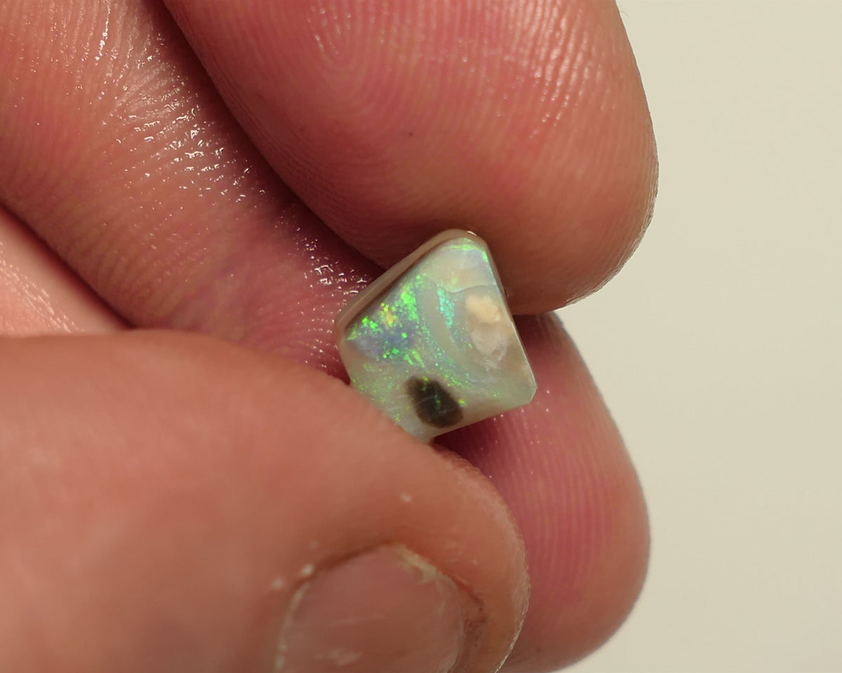 Mintabie Opal 7.2cts Seam rough rub  pair  Bright Multifires in the bar Packed with Potential 12x8x5mm & 8x6xmm 2APR