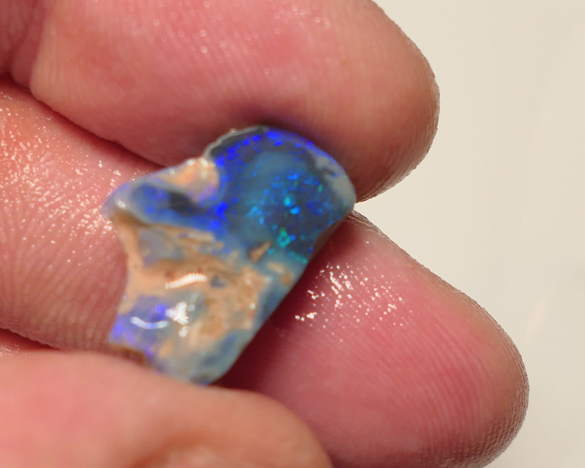 Lightning Ridge Rough / Rub Dark/Black Seam opal Miners Bench® 5.5cts Nice Area Blue/Green Pinfires 20x13x3mm 13ARP