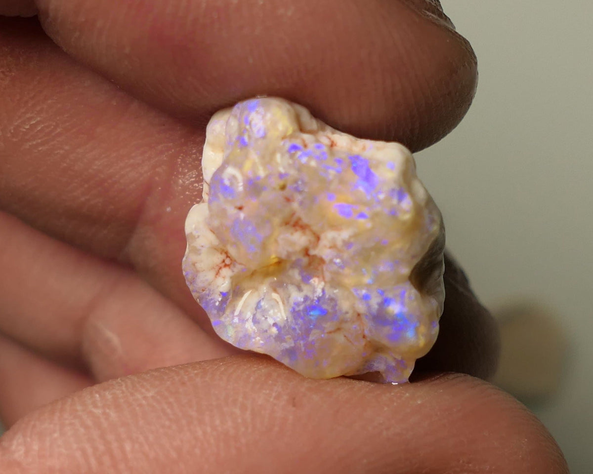 Opal Fever Mate Auction