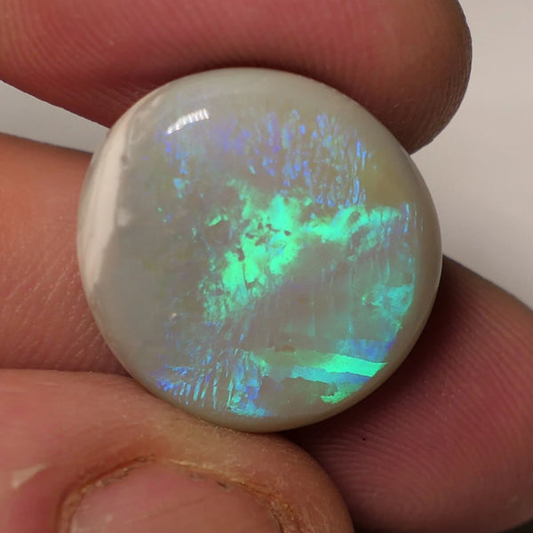 Lightning Ridge Dark Opal Gemstone Huge 14.8cts Jewellery Grade  N6 Body Tone B3 Brightness Stunning Vibrant Multifires 20x19x5mm WAC57