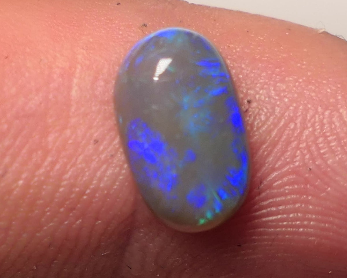 Lightning Ridge Dark Opal Gemstone 1.7cts Jewellery Grade N5 Body Tone B4 Brightness Rolling Green / Blue fires 10x6x3mm WAC68