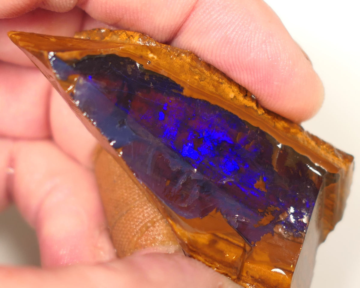 Queensland Boulder Matrix opal 195cts rough / Rub Winton Bright Gem Blue fires 70x30x15mm 0418