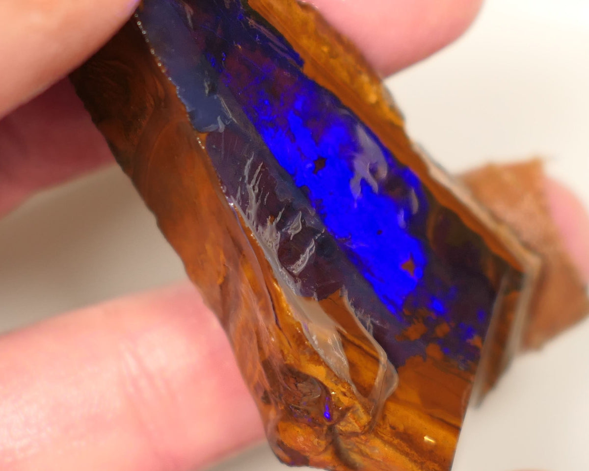 Queensland Boulder Matrix opal 195cts rough / Rub Winton Bright Gem Blue fires 70x30x15mm 0418