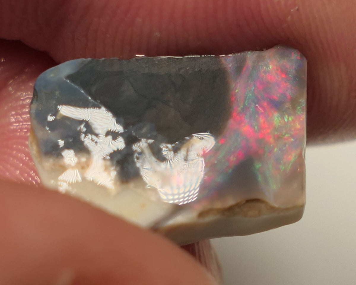 Lightning Ridge Opal Miners Bench® Dark Base Seam Rough Rub 2.3cts Reds & Multifires to face 15x5x3mm 0420